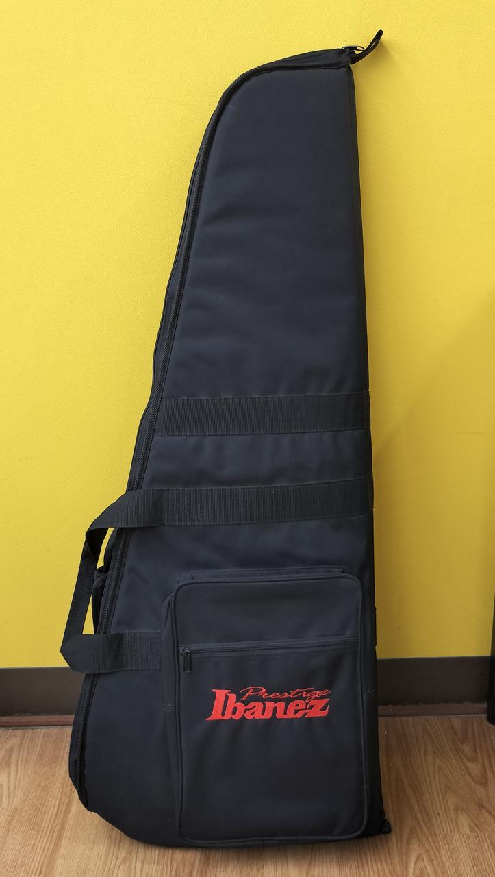 付属品のGIGバッグです(Ibanez)