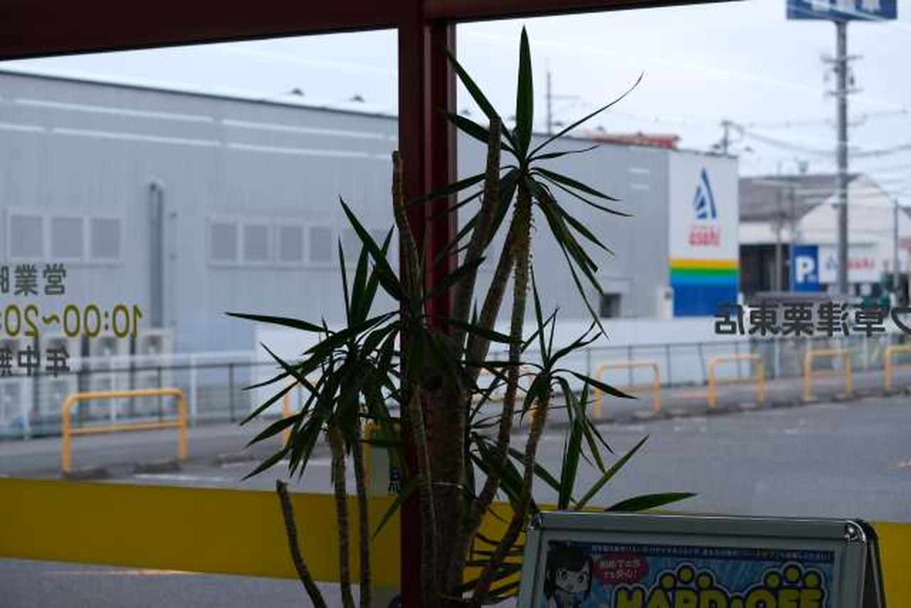 X-T30で撮影 55mm(Ｗ端)