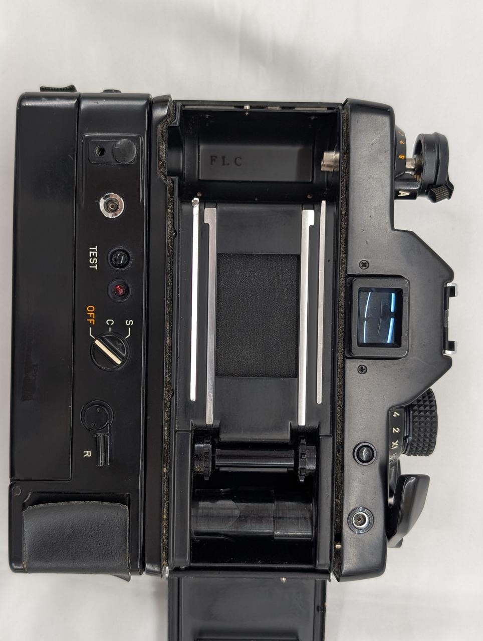 モルト劣化あります