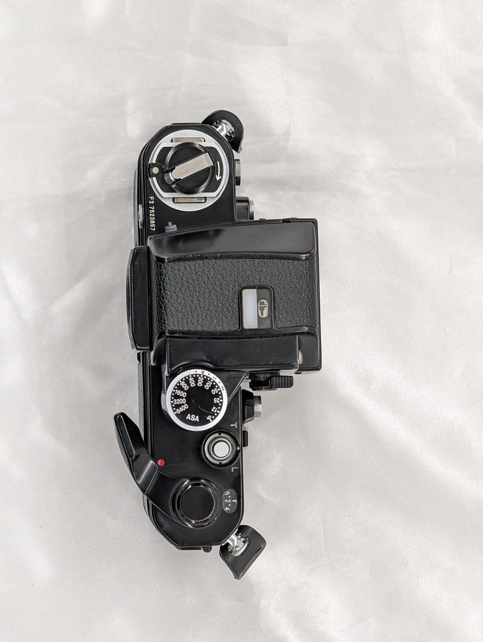 Nikonフィルムカメラ ニコン Z 7とフィルムカメラ時代のFマウントレンズで撮影したショート