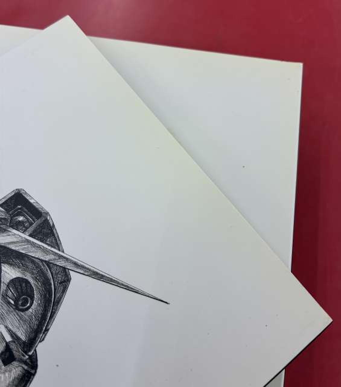 全ジャケット日焼け