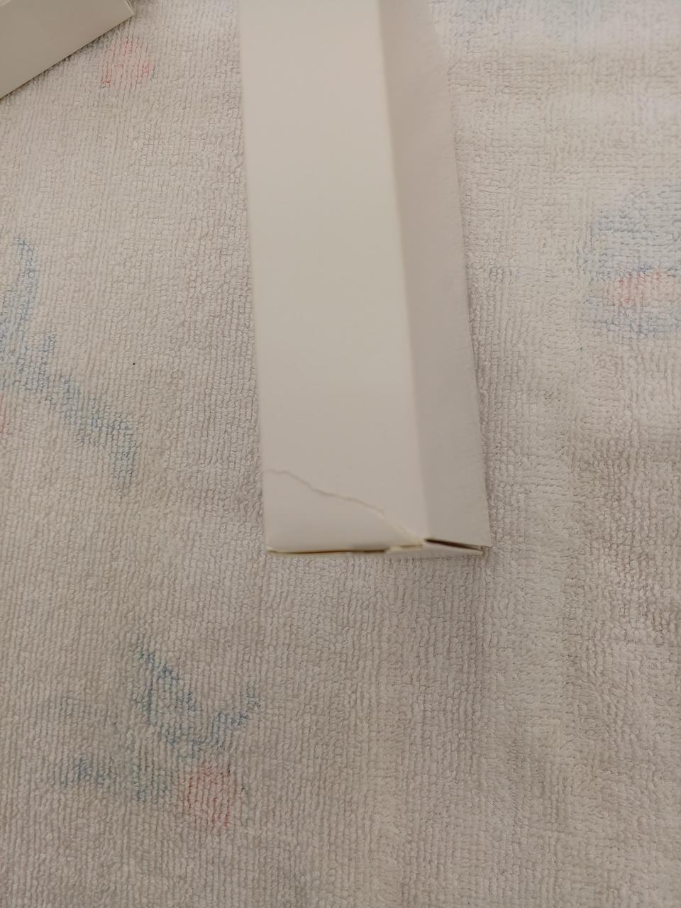 破れ箇所