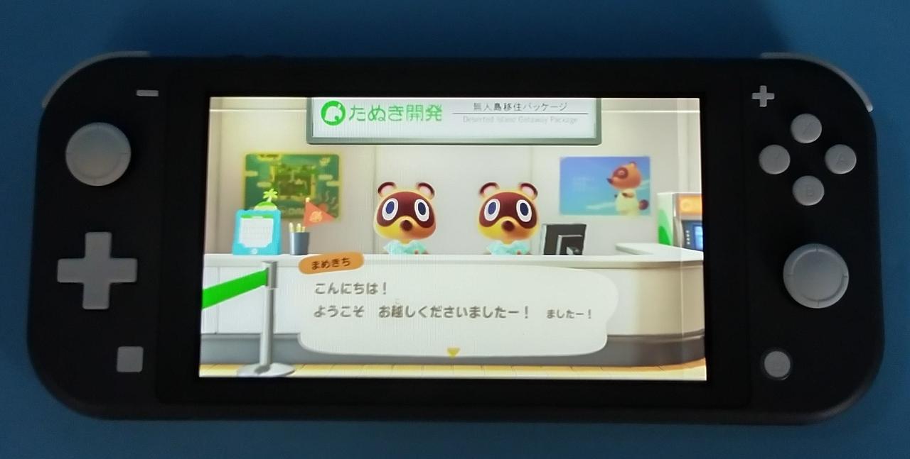 ゲーム起動時です(ソフトは付属しません)