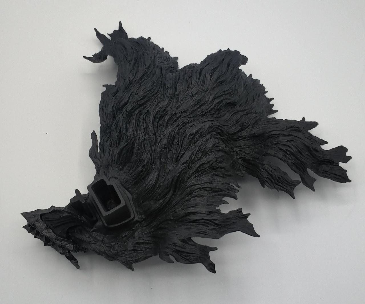 頭部の別角度からの写真です。