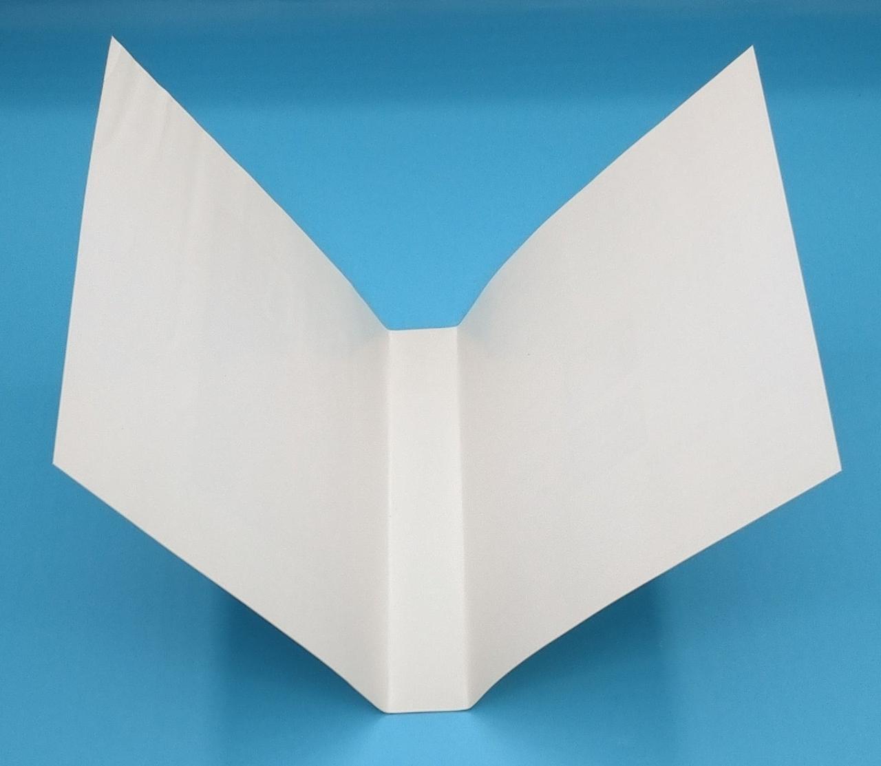 パッケージ紙に折れ見られます。