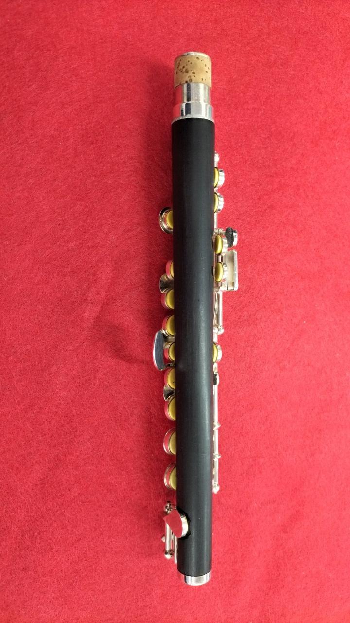 C*l様 【ジャンク】ピッコロ kaerntner 楽器　格安 31P6zCJx22S.jpg_BO30,255,255,
