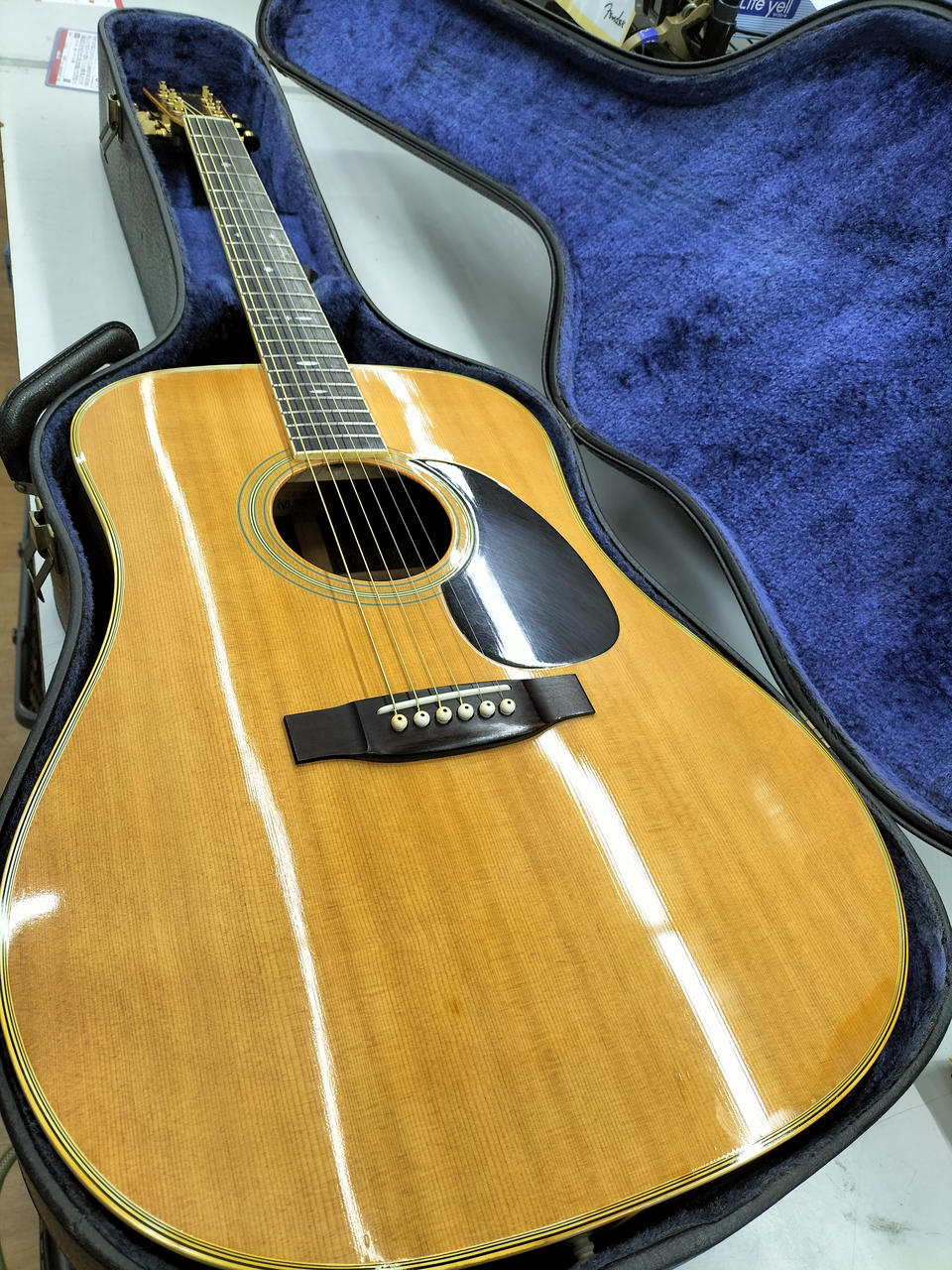 Caf's Eyes アコースティックギター ハードケース付き キャッツアイ(CAT'S EYES)|アコースティックギター|【ハードオフ公式