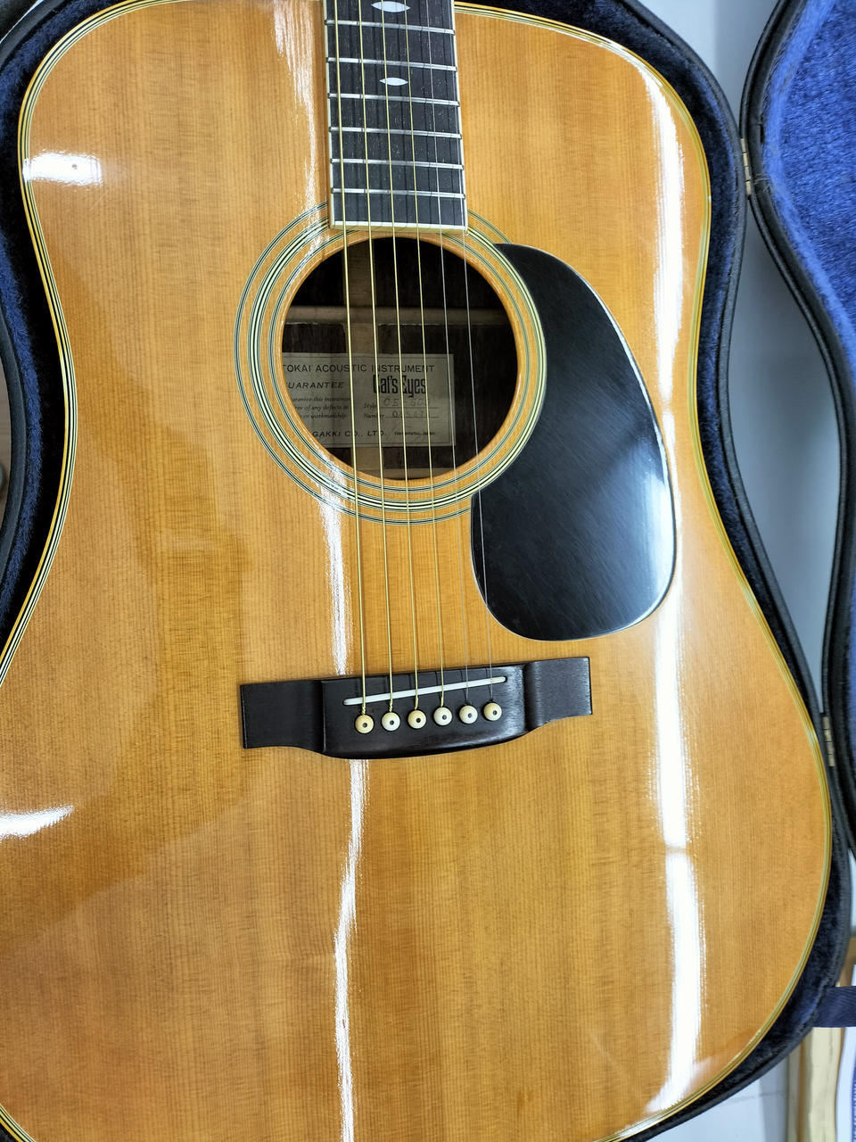 キャッツアイ(CAT'S EYES)|アコースティックギター|【ハードオフ公式