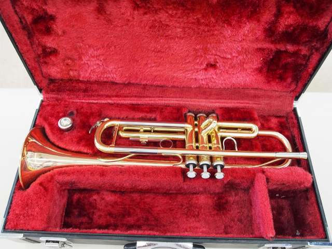 【mad】pTrumpet 赤 トランペット ケース付き mad様専用】pTrumpet 赤 トランペット ケース付き 目白押し