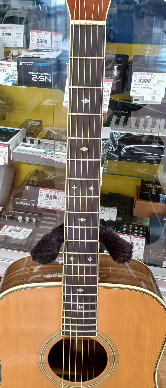 キャッツアイ(CAT'S EYES)|アコースティックギター|HARDOFFオフモール