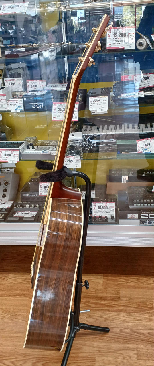 キャッツアイ(CAT'S EYES)|アコースティックギター|HARDOFFオフモール