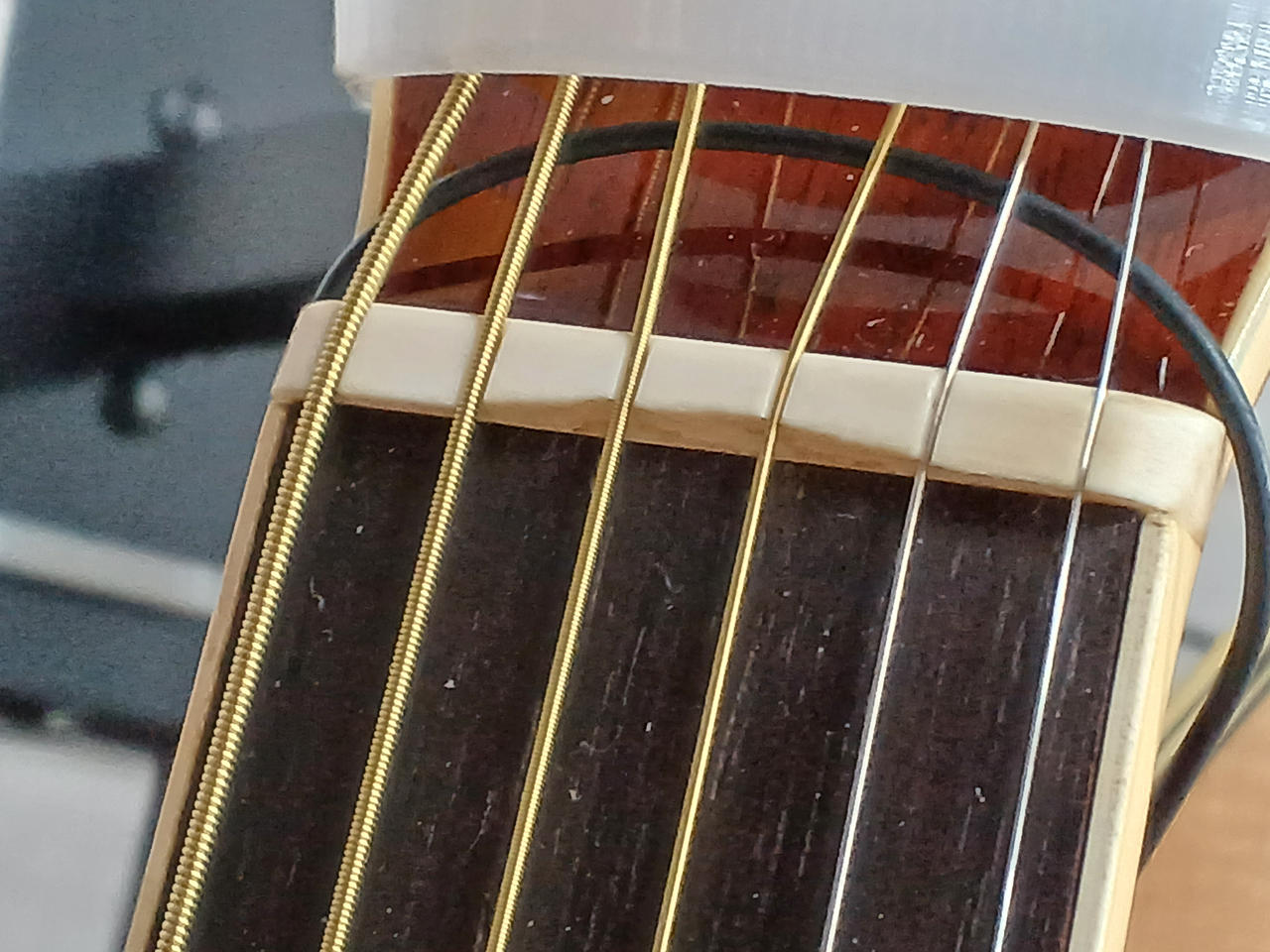 キャッツアイ(CAT'S EYES)|アコースティックギター|HARDOFFオフモール