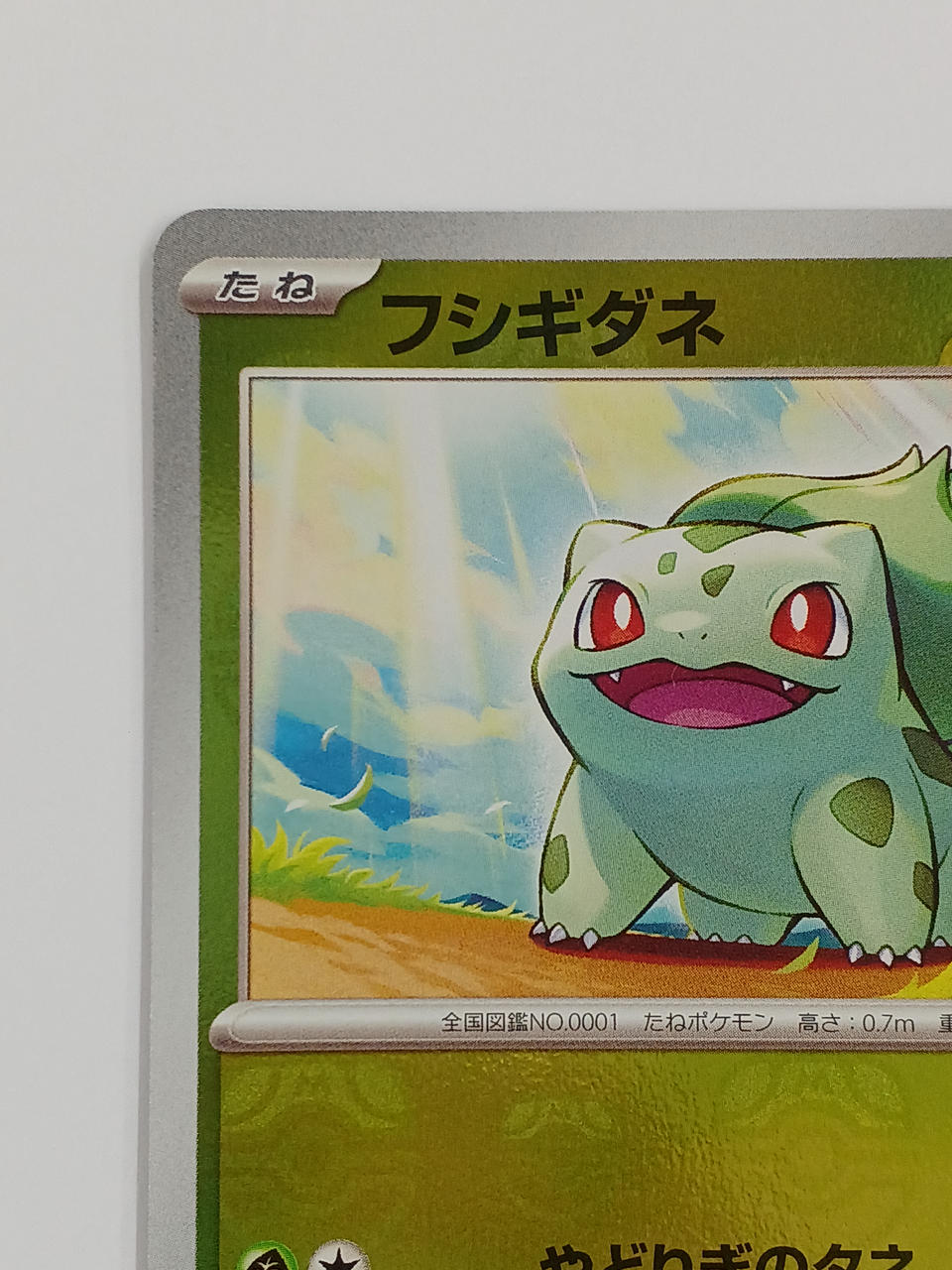ポケモン|ポケモンカード|HARDOFFオフモール（オフモ
