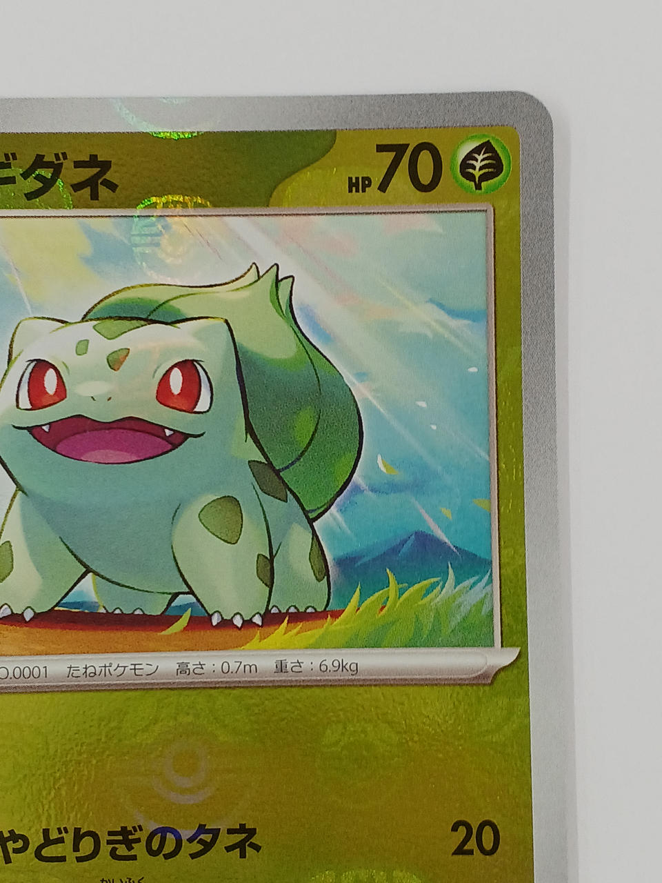 ポケモン|ポケモンカード|HARDOFFオフモール（オフモ