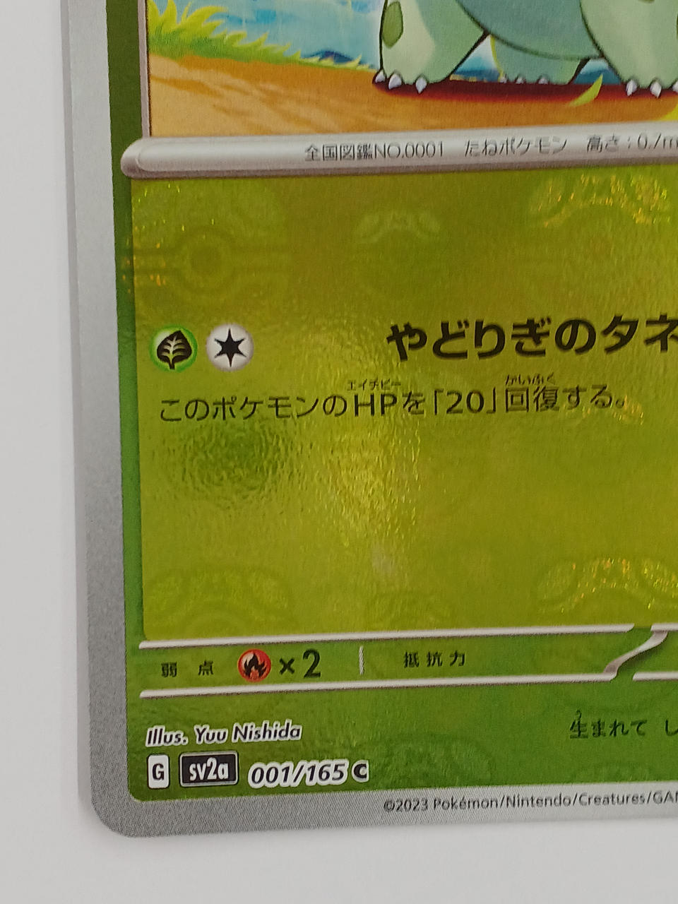 ポケモン|ポケモンカード|HARDOFFオフモール（オフモ