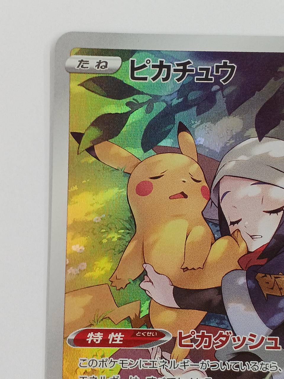 ポケモンカードファイル　2011 ポケモンカード カードファイル リフィル ゲンガー ゲッコウガ