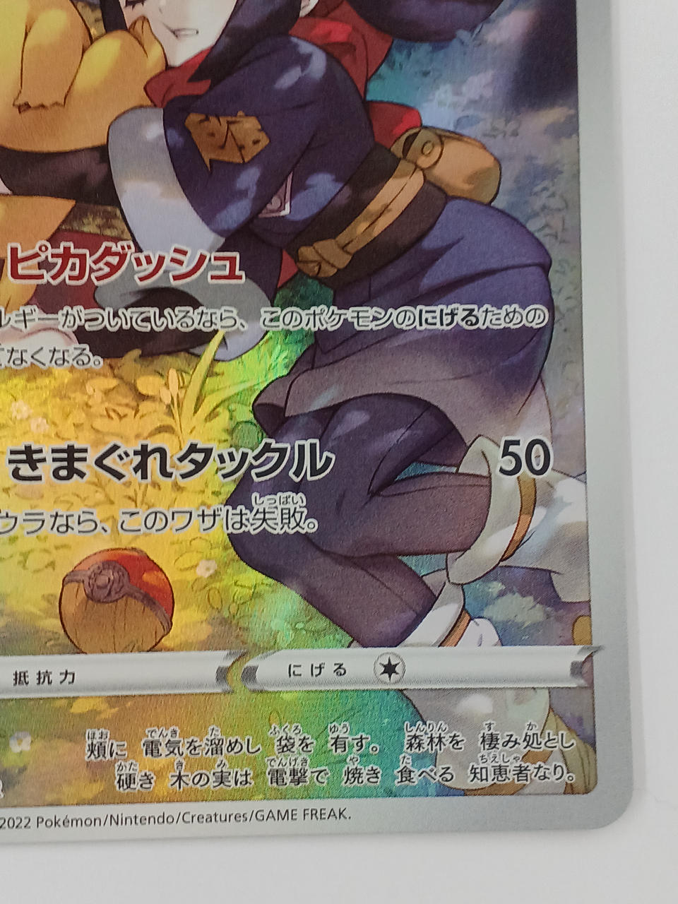ポケモンカードファイル　2011 ポケモンカード カードファイル リフィル ゲンガー ゲッコウガ