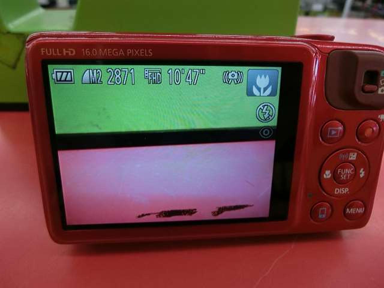 黒くシミあり。