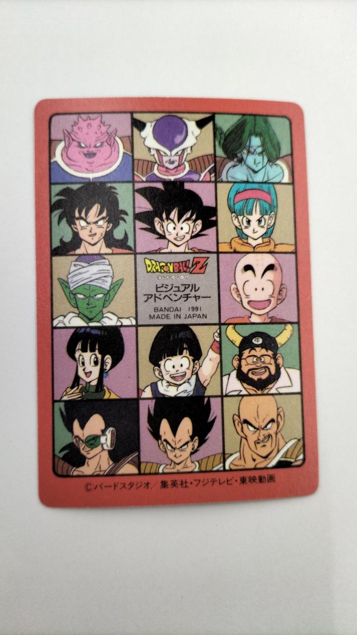 ドラゴンボールビジュアルアドベンチャーカードダススカイパイロット