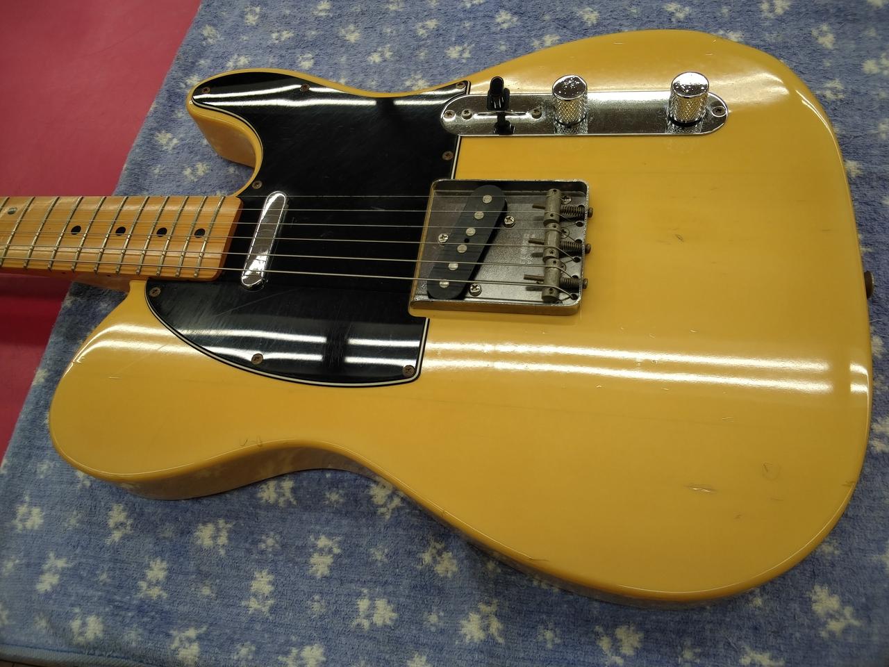 フェンダージャパン(FENDER JAPAN)|FENDER JAPAN/TL72-53