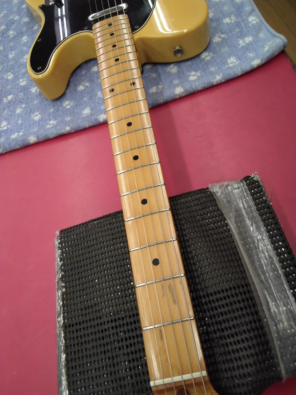 フェンダージャパン(FENDER JAPAN)|FENDER JAPAN/TL72-53