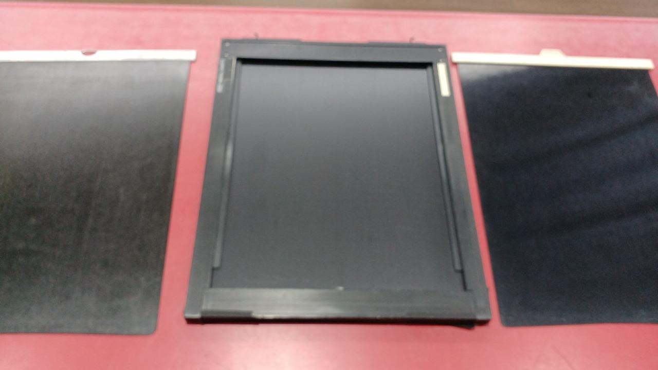 擦り傷あります