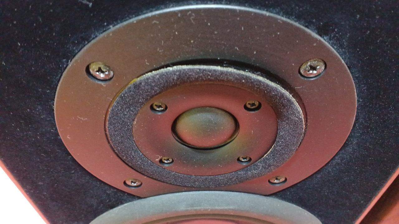 片側ツィーター周辺が剥がれてます。