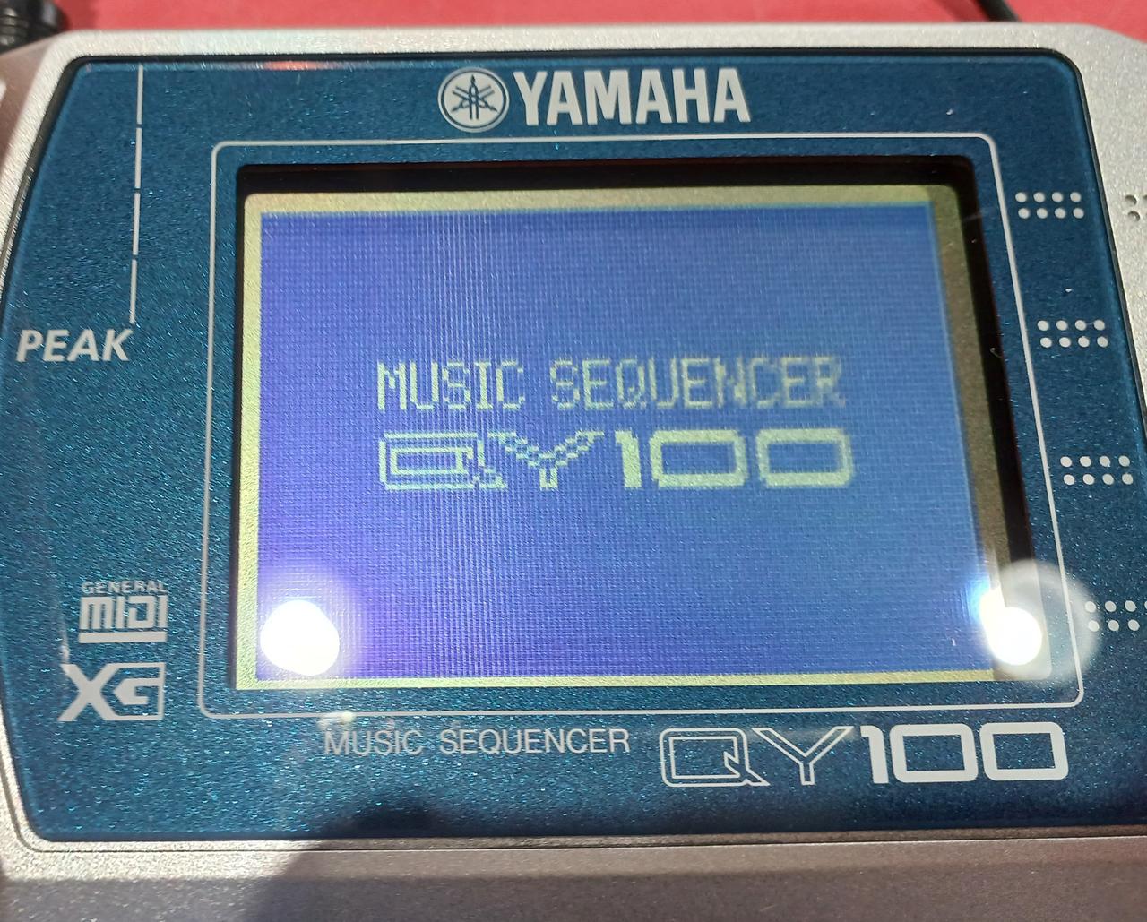 起動画面。内蔵バッテリー交換済み