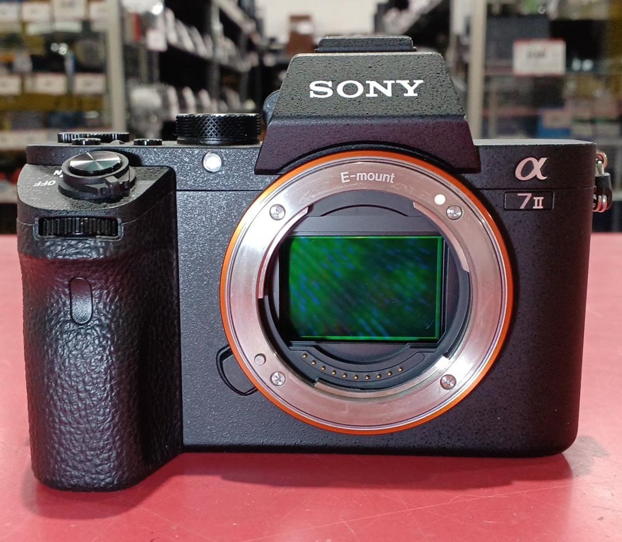 最終値下 超美品 SONY ミラーレス一眼 a7RV ボディ α7R V | デジタル一眼カメラα（アルファ） | ソニー