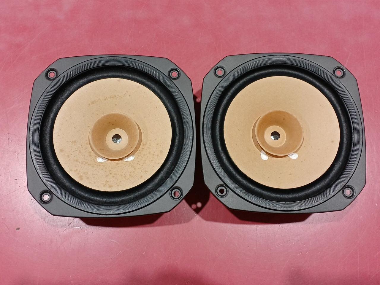 FOSTEX FE166EN