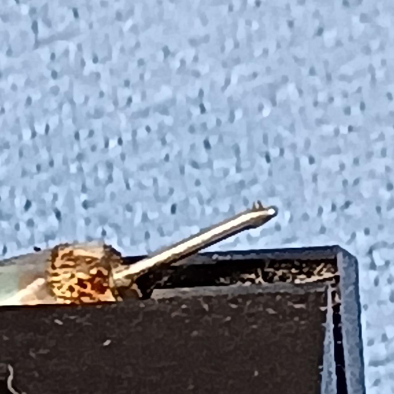 針あります。