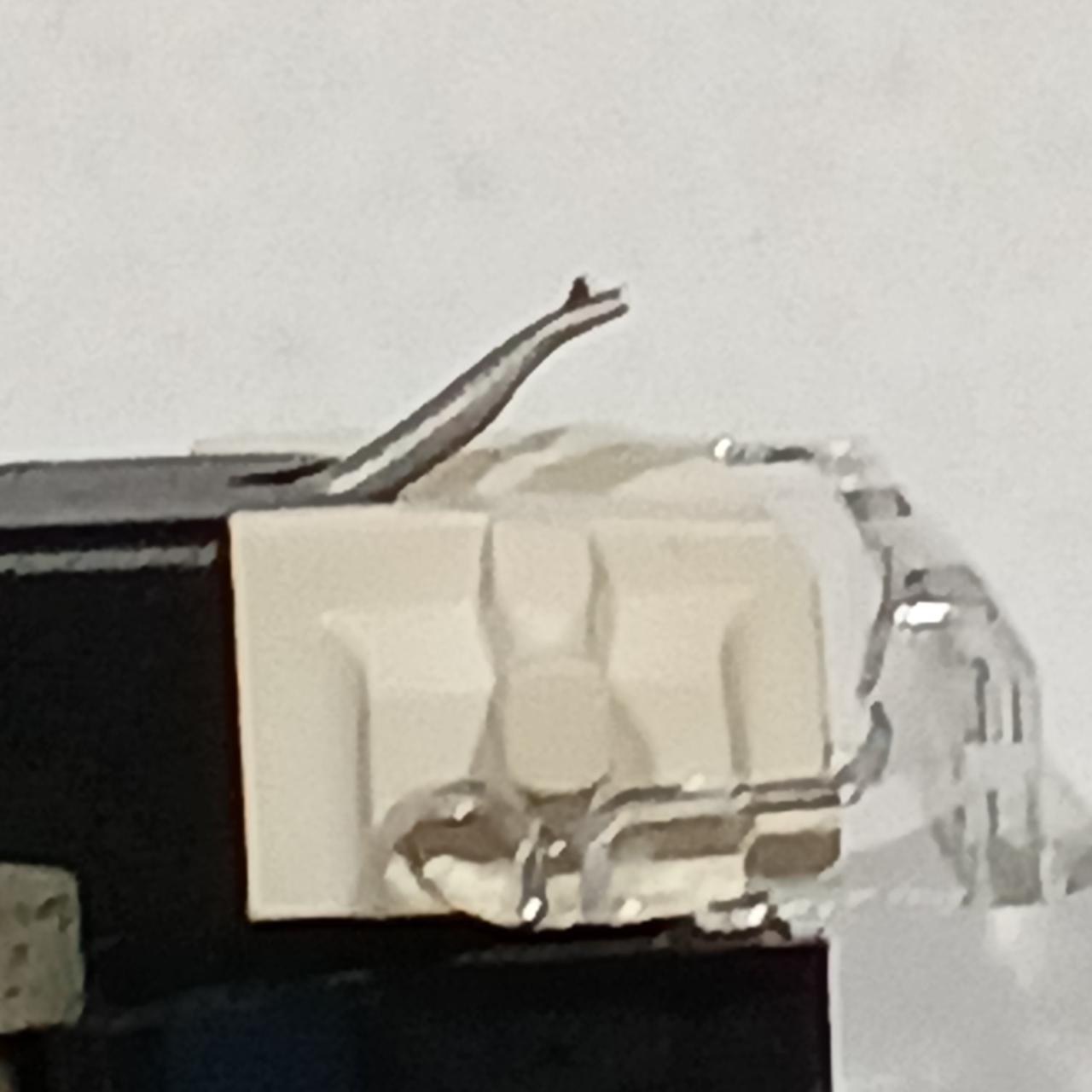 針先あります。