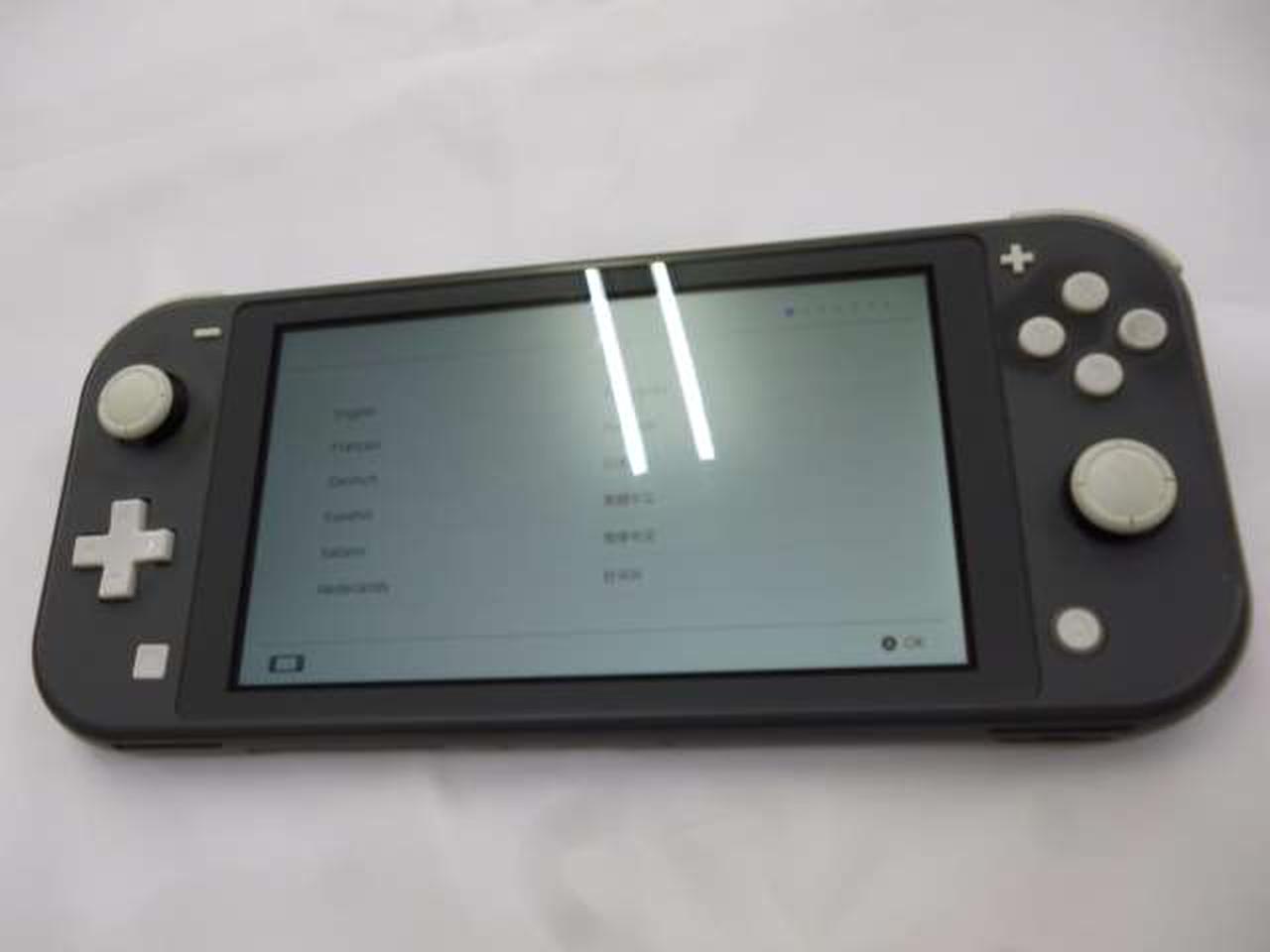 NINTENDO SWITCH LITE　＊ゲーム認識せず
