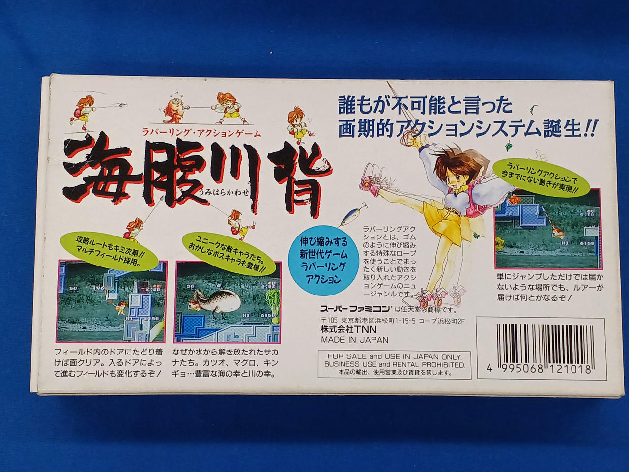 箱裏側ややスレあり