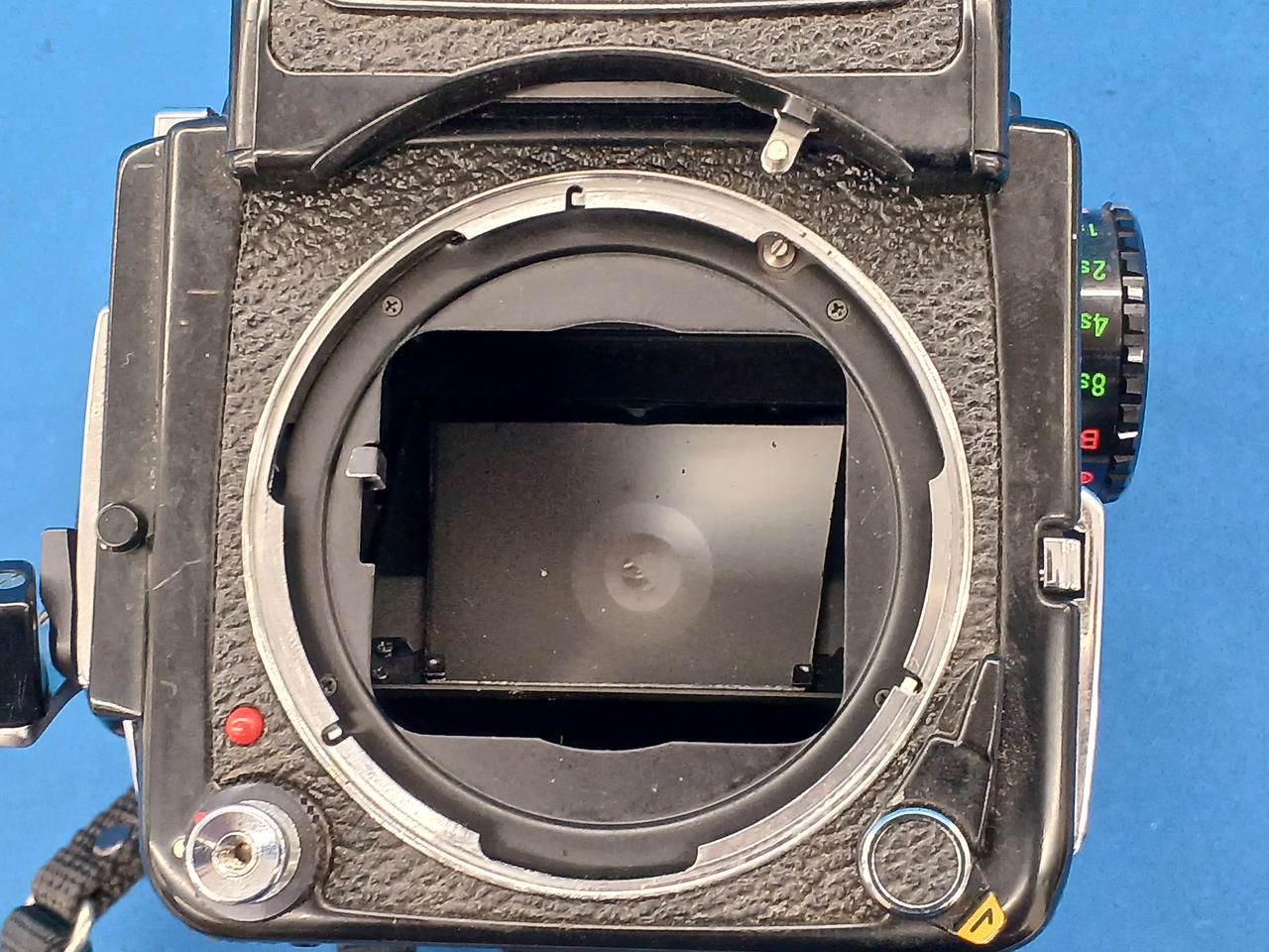 ファインダー、ミラーにチリあり