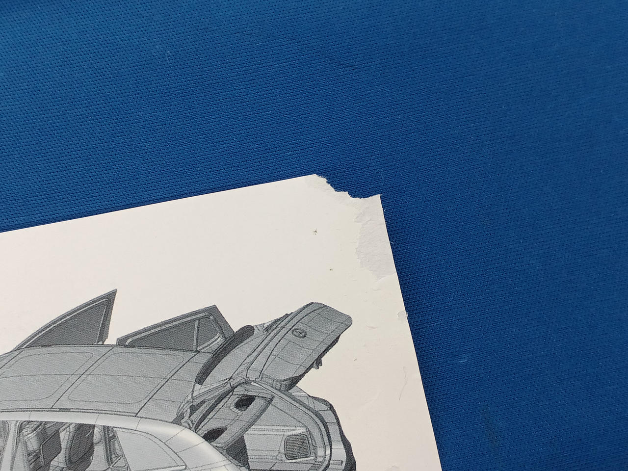 ※印刷物に破れあり