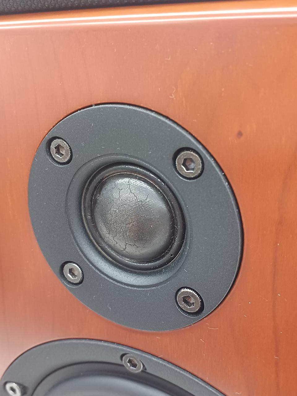 ※両方のツイーター表面に割れあり