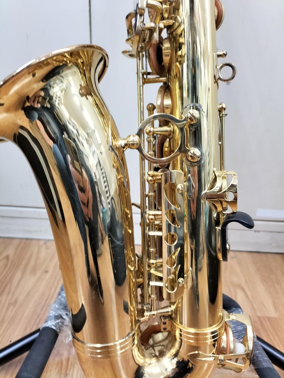 Elkhart Eb アルトサックス Amazon.co.jp: サックス ゴールドサックスEbアルトサックス