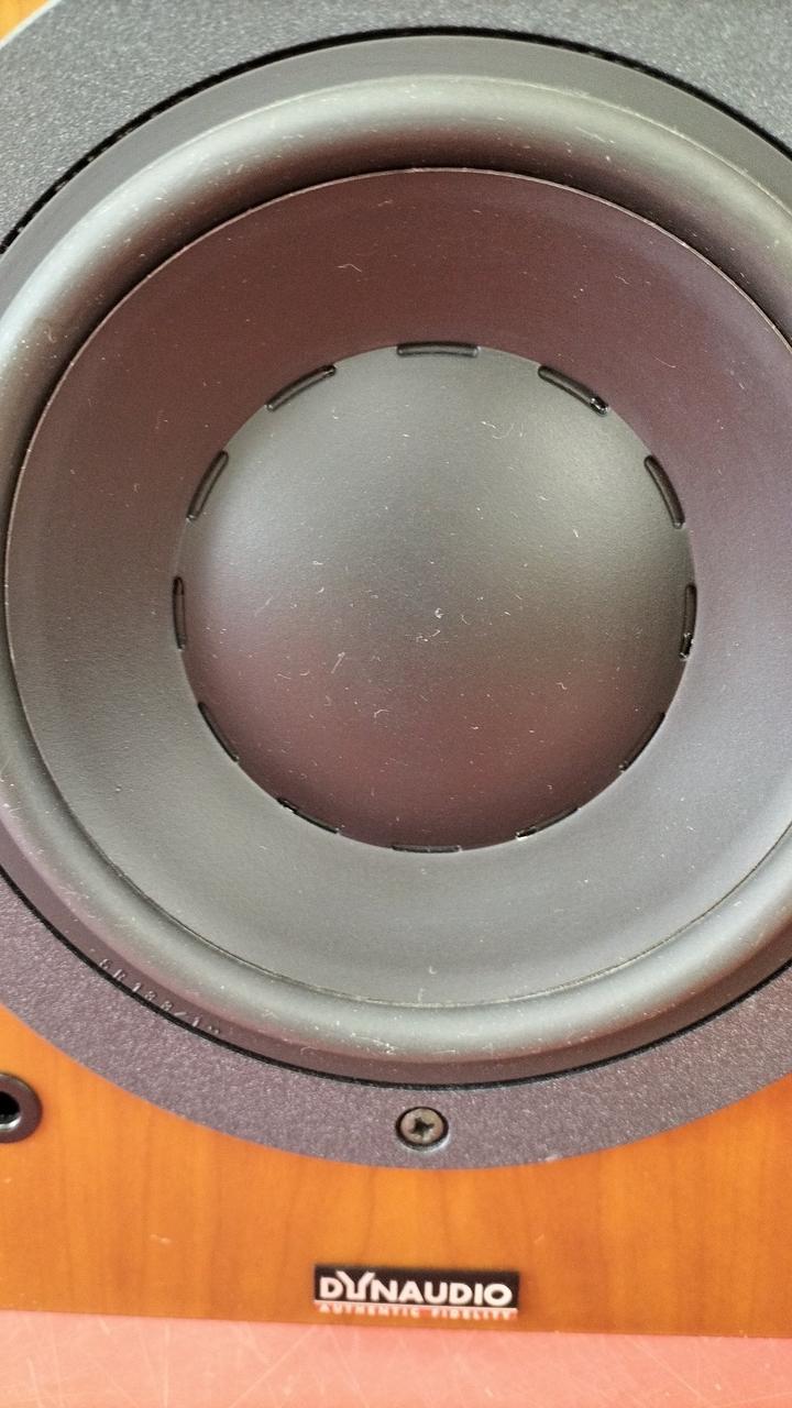 ディナウディオ(DYNAUDIO)|スピーカーペア|【ハードオフ公式通販】オフ