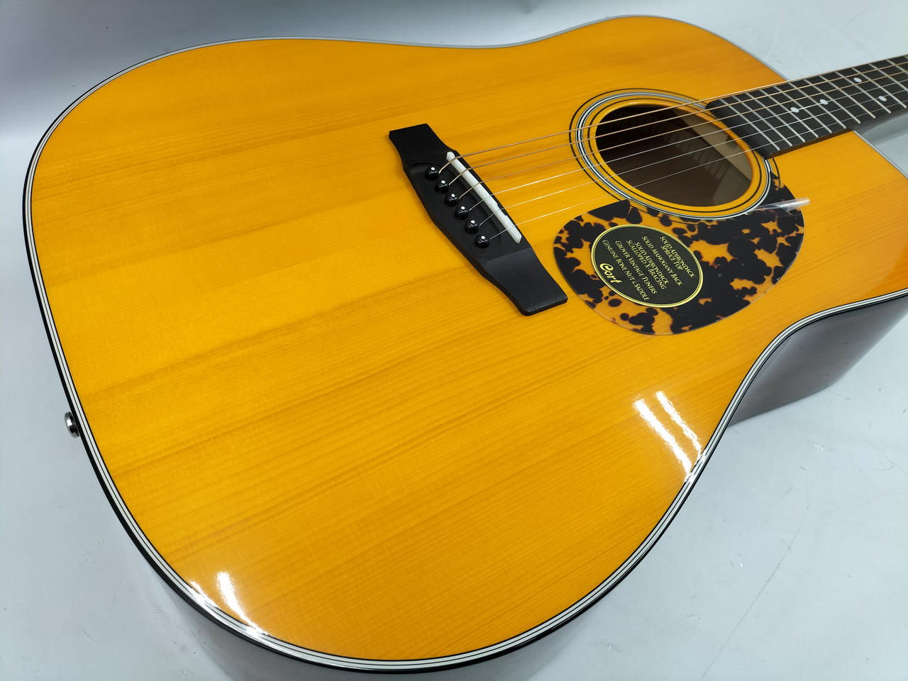 Cort アコースティックギター Cort Guitars