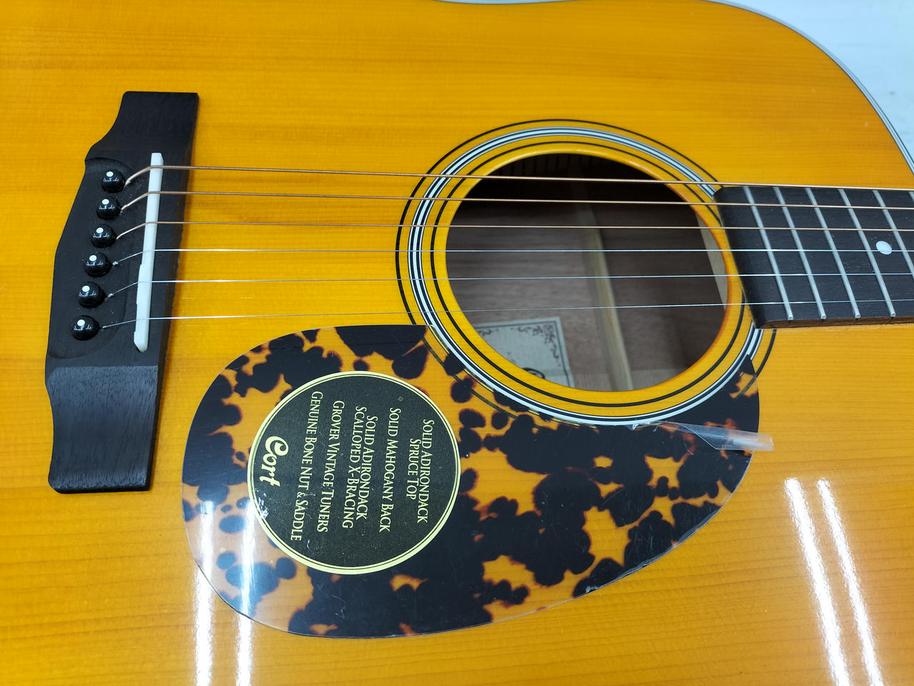 Cort アコースティックギター Amazon.com: Cort 6 String Acoustic Guitar, Right, Light