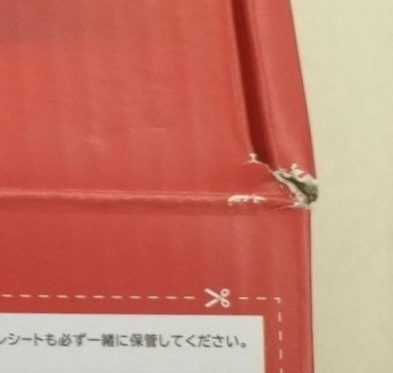 細かい破れ有り