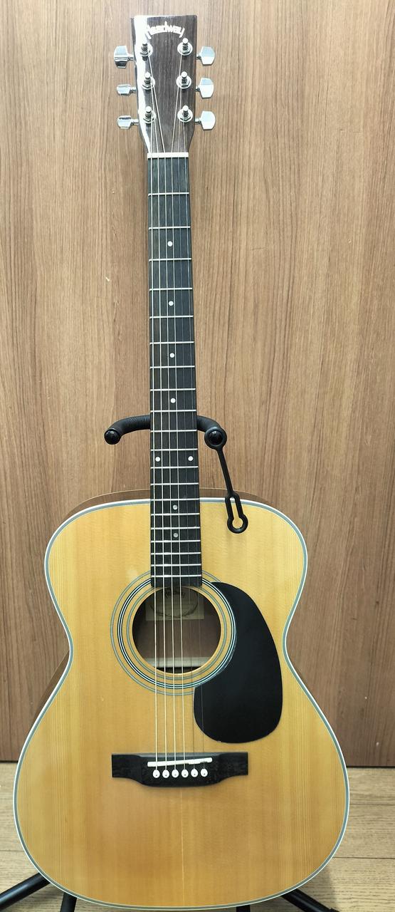 【未使用】アコースティックギター Amazon.co.jp: PLAYTECH(旧ZENN） プレイテックゼン