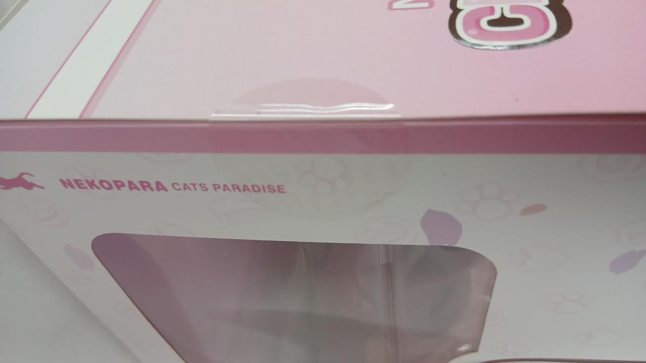 正面テープ切れてますが、横は留まってます