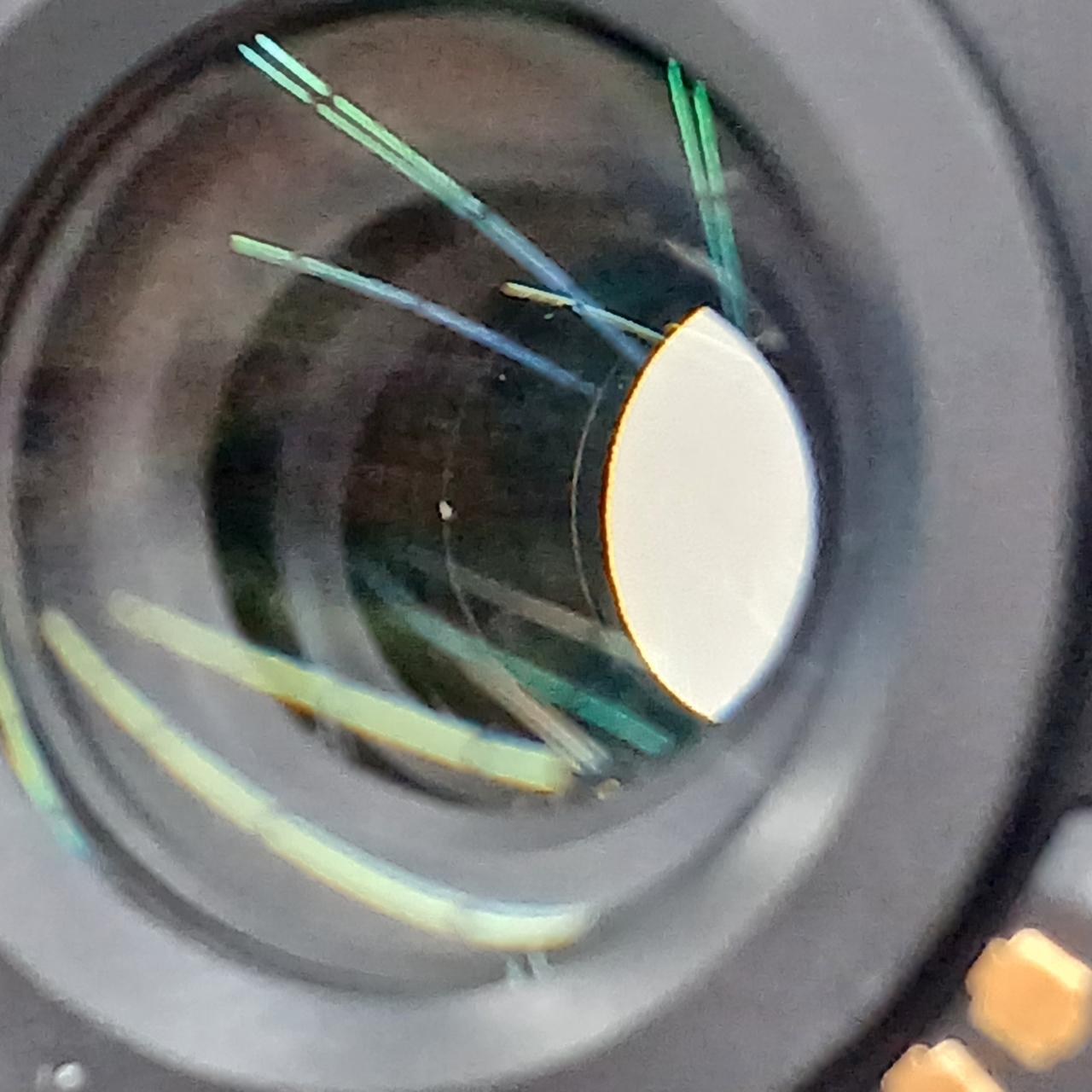 レンズ内ゴミあり