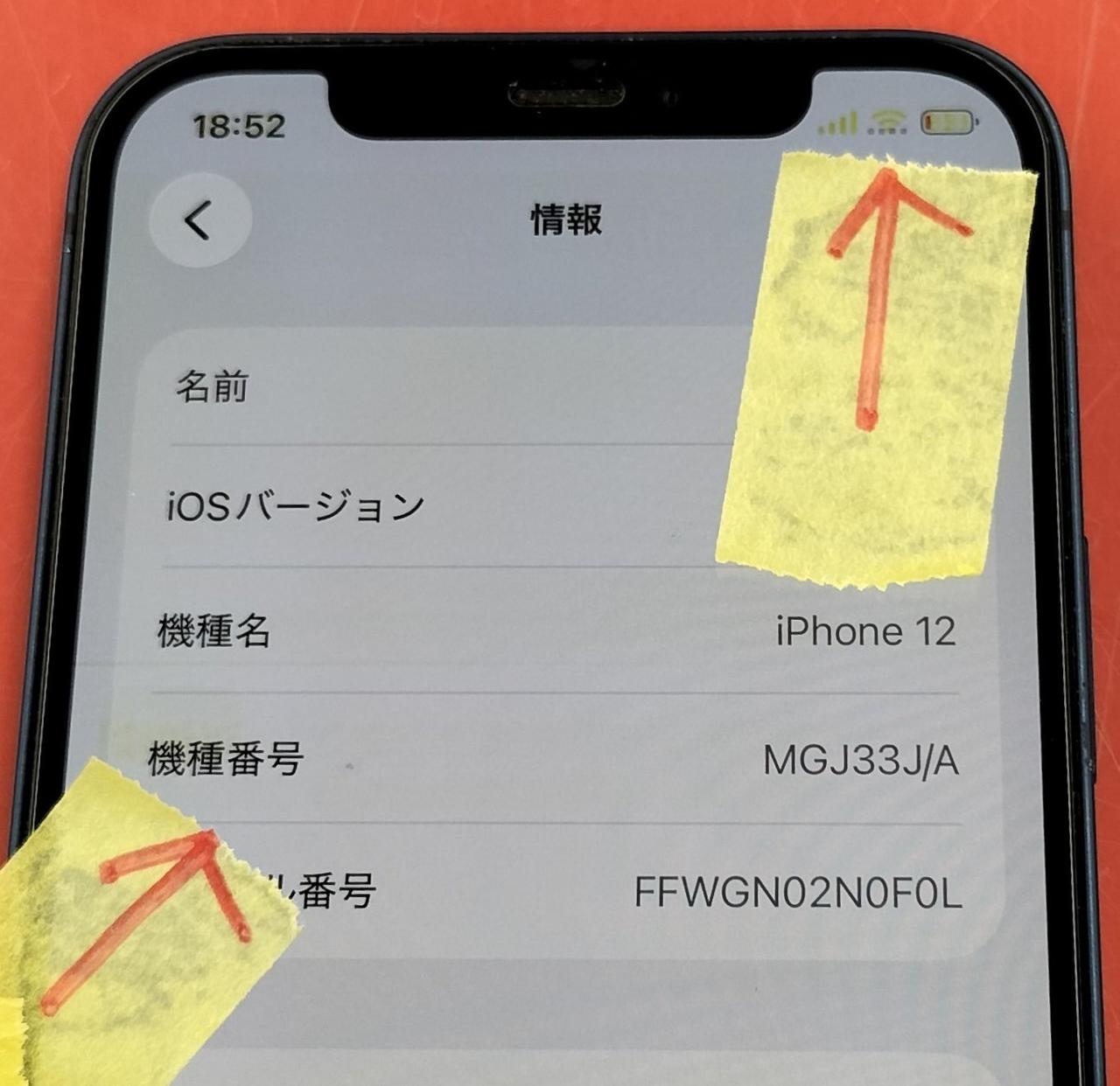 ※黄色がかっています