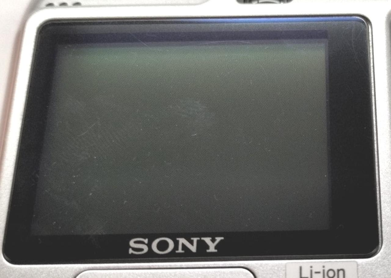 液晶内にチリ
