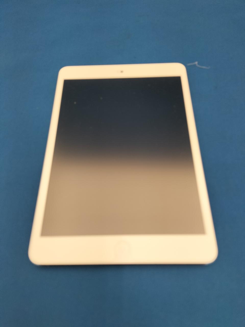 保護シール貼っています