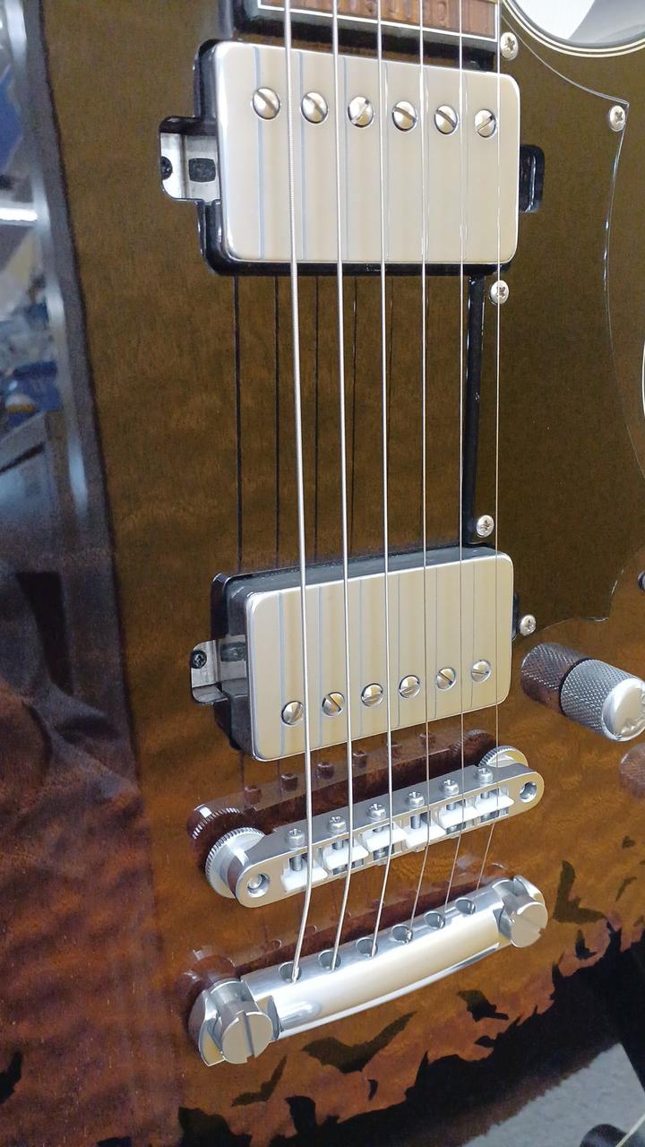 Jagard　Mockingbirdタイプ　エレキギター　　弦は新品に交換済み！ Jagard Mockingbirdタイプ エレキギター 弦は新品に交換済み