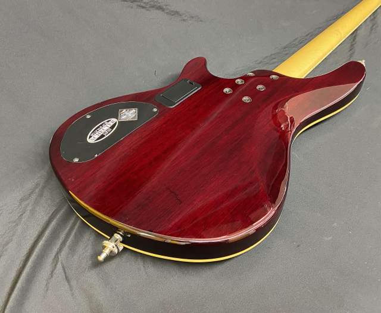 シェクター(SCHECTER)|【フレイムメイプルトップが魅力的なモデル